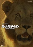 Documentary - NHK Special Kanashiki Osu Lion - O Kotaigeki 9 Nen no Kiroku - DVD (Japan Import)