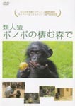 Documentary - Ruijinen Bonobo (Pan paniscus) no Sumu Mori de DVD (Japan Import)